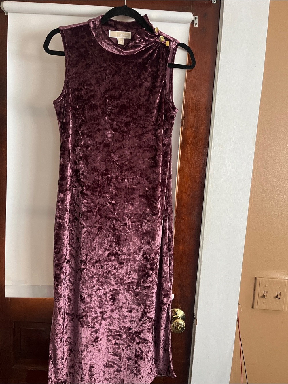 Michael Kors Sleeveless Crushed Velvet Maxi Dress in Plum